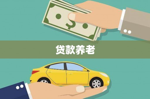 新县贷款养老