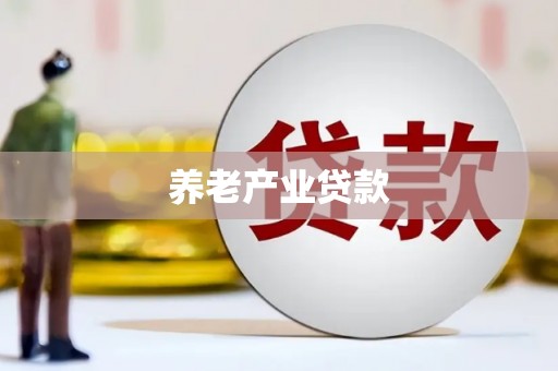 新县养老产业贷款