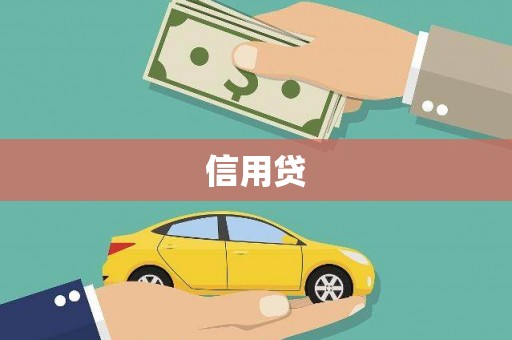 新县信用贷