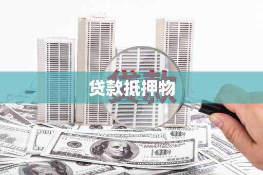 新县贷款抵押物