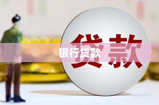 新县银行贷款