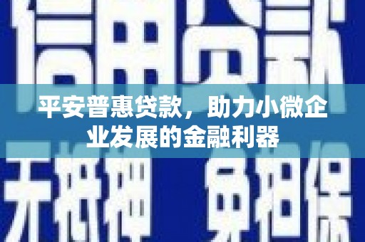 新县平安普惠贷款，助力小微企业发展的金融利器