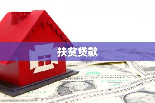 新县扶贫贷款