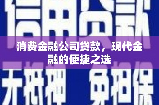 新县消费金融公司贷款，现代金融的便捷之选