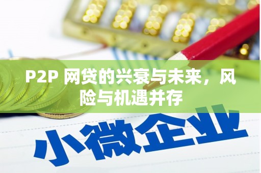 新县P2P 网贷的兴衰与未来，风险与机遇并存
