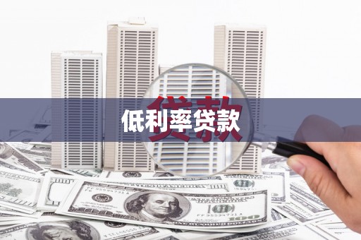新县低利率贷款