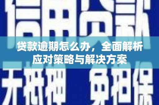 新县贷款逾期怎么办，全面解析应对策略与解决方案