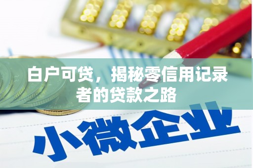 新县白户可贷，揭秘零信用记录者的贷款之路