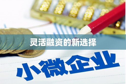 新县灵活融资的新选择