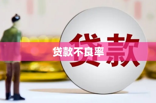 新县贷款不良率