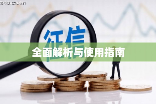 新县全面解析与使用指南