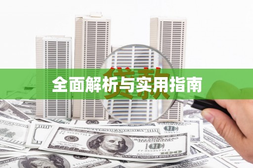 新县全面解析与实用指南