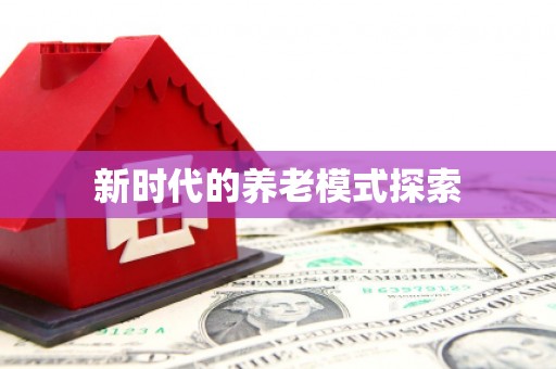 新县新时代的养老模式探索