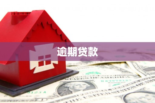 新县逾期贷款