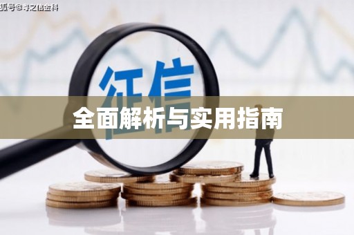 新县全面解析与实用指南