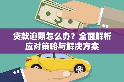 新县贷款逾期怎么办？全面解析应对策略与解决方案