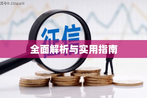 新县全面解析与实用指南
