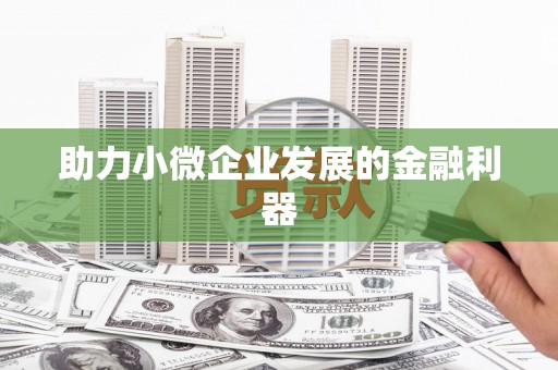 新县助力小微企业发展的金融利器
