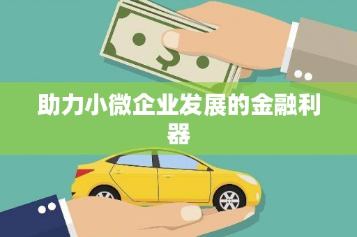 新县助力小微企业发展的金融利器