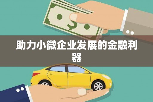新县助力小微企业发展的金融利器