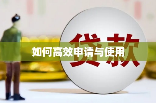 新县如何高效申请与使用