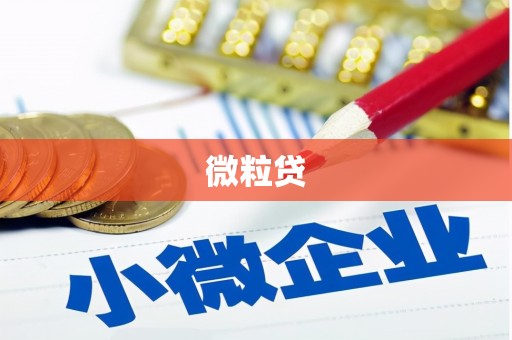 新县微粒贷