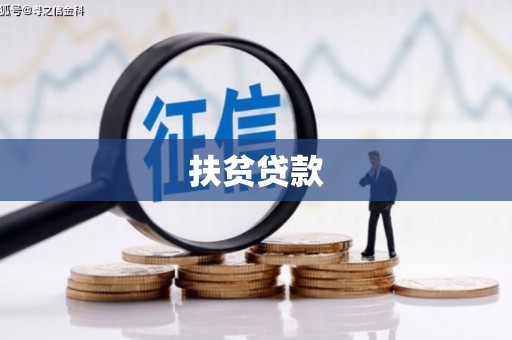 新县扶贫贷款