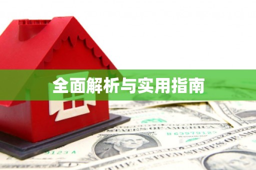 新县全面解析与实用指南