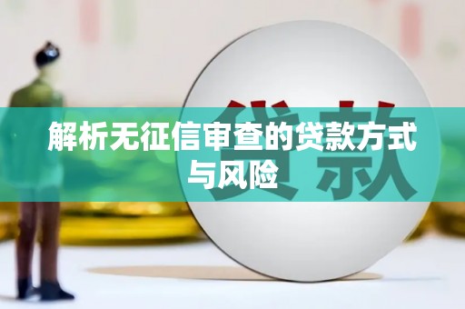 新县解析无征信审查的贷款方式与风险