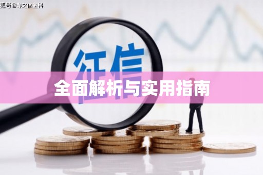 新县全面解析与实用指南
