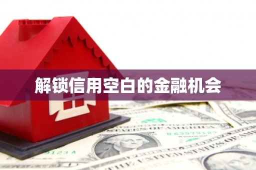 新县解锁信用空白的金融机会