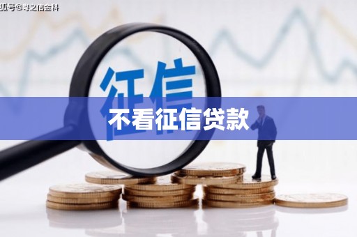新县不看征信贷款