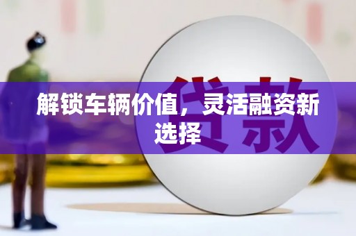 新县解锁车辆价值，灵活融资新选择