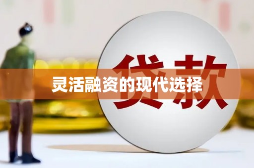 新县灵活融资的现代选择
