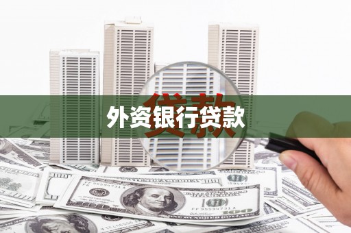 新县外资银行贷款