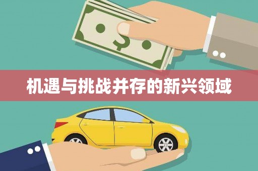 新县机遇与挑战并存的新兴领域