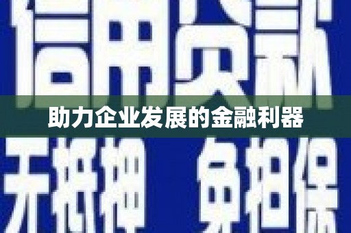 新县助力企业发展的金融利器