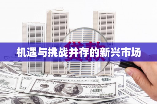 新县机遇与挑战并存的新兴市场