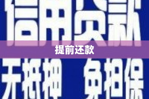 新县提前还款