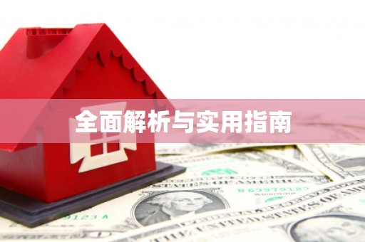 新县全面解析与实用指南