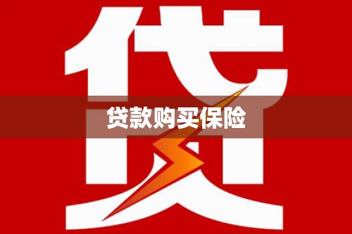 新县贷款购买保险