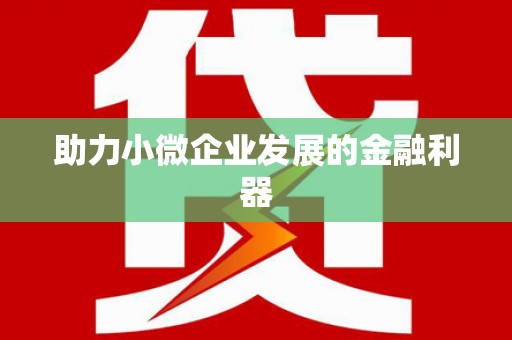 新县助力小微企业发展的金融利器