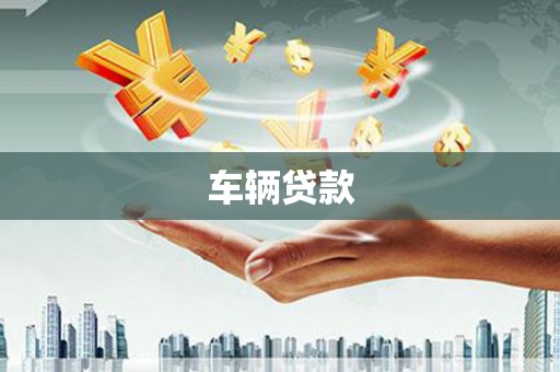 新县车辆贷款