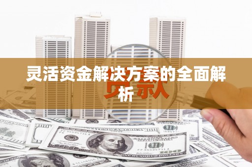 新县灵活资金解决方案的全面解析
