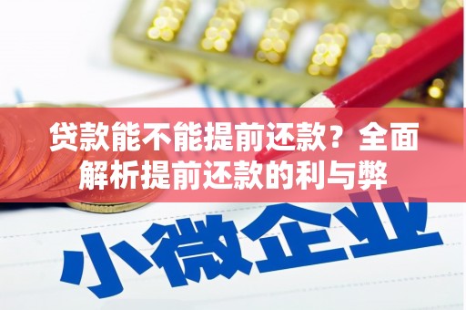 新县贷款能不能提前还款？全面解析提前还款的利与弊