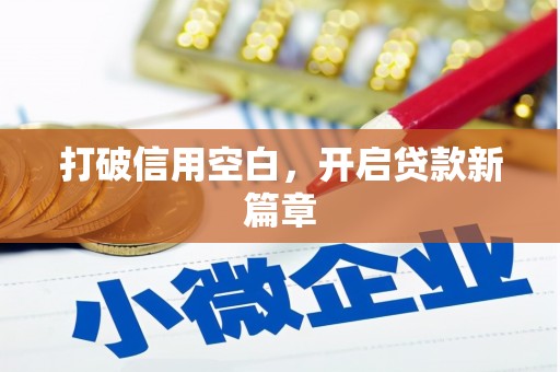 新县打破信用空白，开启贷款新篇章