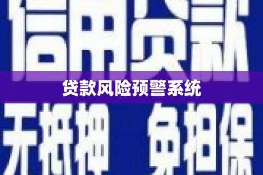 新县贷款风险预警系统