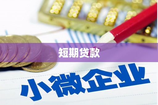 新县短期贷款
